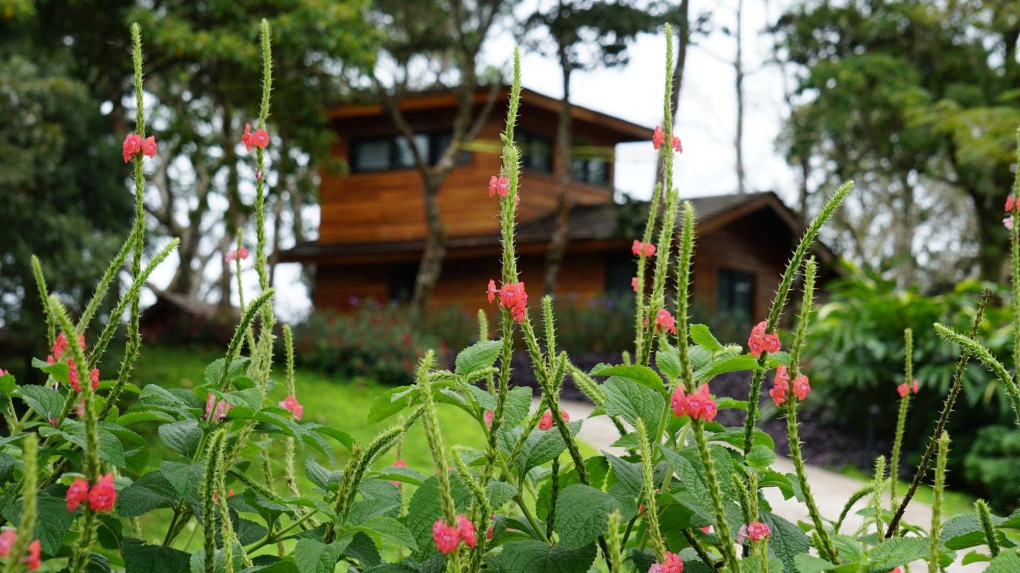 Lucero Golf And Country Club Tree Houses Boquete Luaran gambar